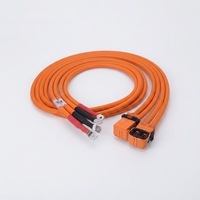 Câble haute tension personnalisé pour véhicules électriques, assemblage étanche IP67, faisceau de câblage en silicone ignifuge UL94 V-0, batterie haute courant