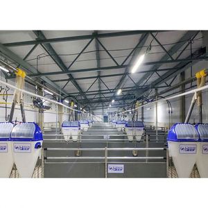 ลังขุนหมูทนทานอุปกรณ์ในฟาร์มเลี้ยงหมูใหม่สะอาดและถูกสุขอนามัยออกแบบได้ตามที่ต้องการ - Product Image 5