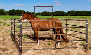 धातु बाड़ पैनल घोड़े यार्ड पैनल घोड़ा स्थिर - Product Image 3