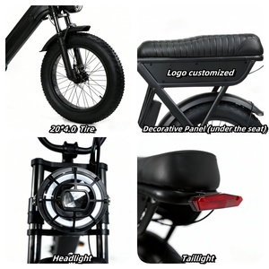 Bicicleta Eléctrica Y20 Plus al por Mayor de Fábrica, Barata, de 20 Pulgadas para Entrega de Comida en Rusia, 48V250W, Cuadro de Acero, Neumático Ancho, Motor Trasero Electrónico - Product Image 2