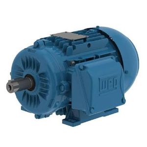 Motor Eléctrico Weg de 2 HP, Trifásico, TEFC, de Uso General, 90S, Marco L, 460 Voltios - Product Image 1
