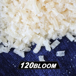 Gélatine de peau de bovin naturelle / Collagène hydrolysé / Agent épaississant et gélifiant alimentaire pour la fabrication de bonbons – Usine chinoise avec 40 ans d'expérience - Product Image 5