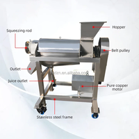 Hochleistungs-Spiralentsafter für Obst & Gemüse 220V 2200W für Industrielle Nutzung