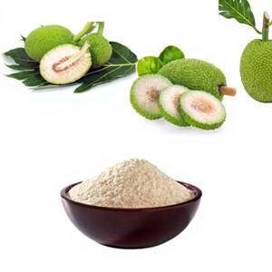Harina de Fruta del Pan Natural Sin Aditivos, Harina Fina para Hornear, Cocinar, Bebidas y Procesamiento de Alimentos, Suministro al por Mayor - Product Image 1