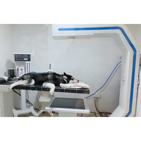 Sistema de Tomografía Computarizada de Haz Cónico Veterinario (CBCT) de Cuerpo Completo 3D Avanzado, Diseñado Específicamente para Perros Grandes, Rompe la Barrera de Tamaño