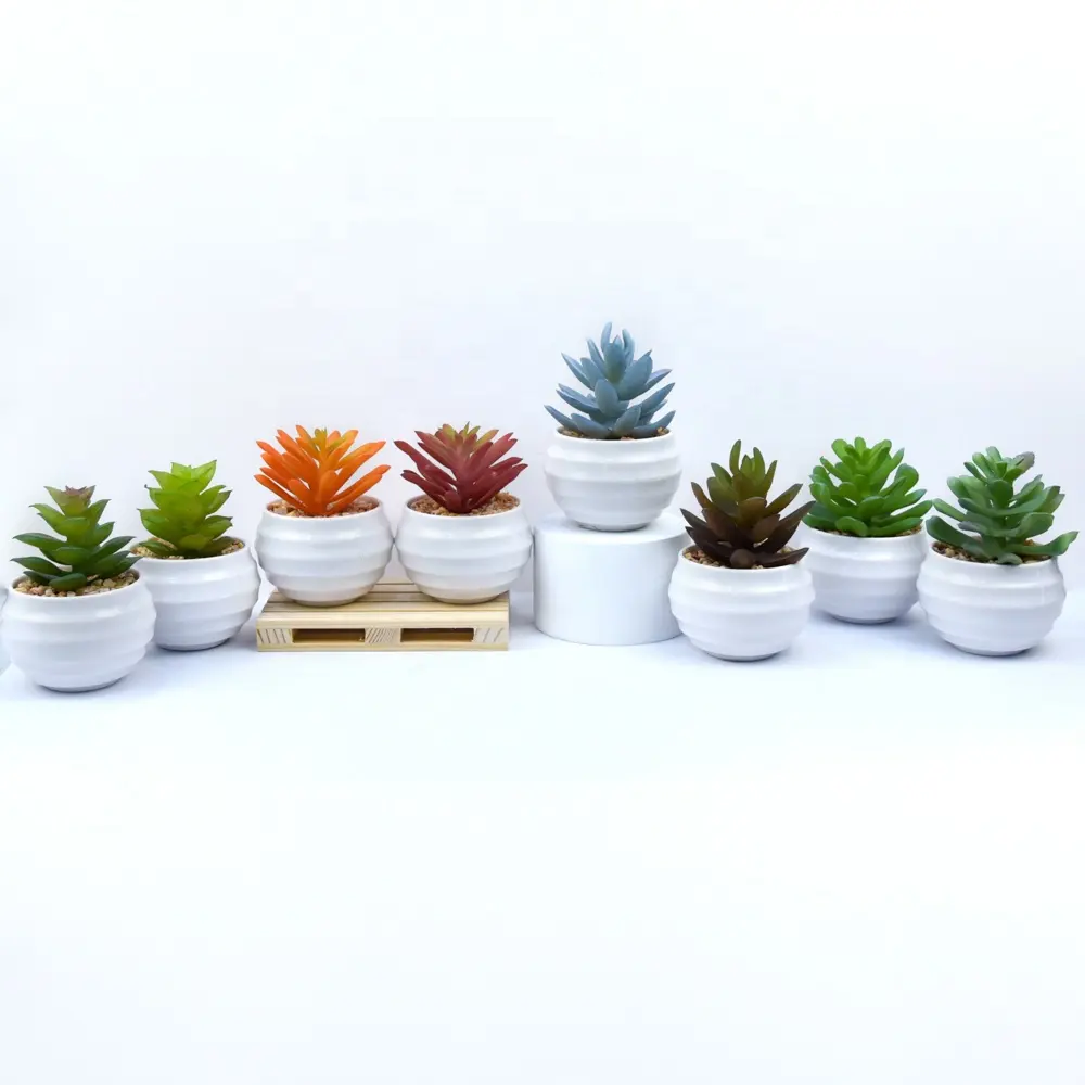 Wholesale Decoration Simulation Mini Plant Plastic Artificial Faux Cactus Succulent Plant Bonsai Arrangement Succulent Set