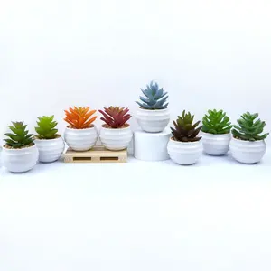Mini plante artificielle en plastique, plastique, Faux Cactus succulente, Arrangement en bonsaï, vente en gros, 10 pièces