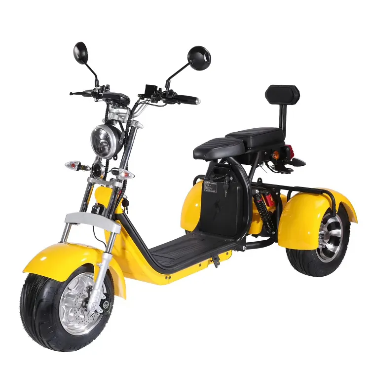 EEC/COC sertifikalı elektrikli motorlu üç tekerlekli bisikletler 3 tekerlekli 1500W 12AH/20AH çift koltuklu Citycoco yetişkin