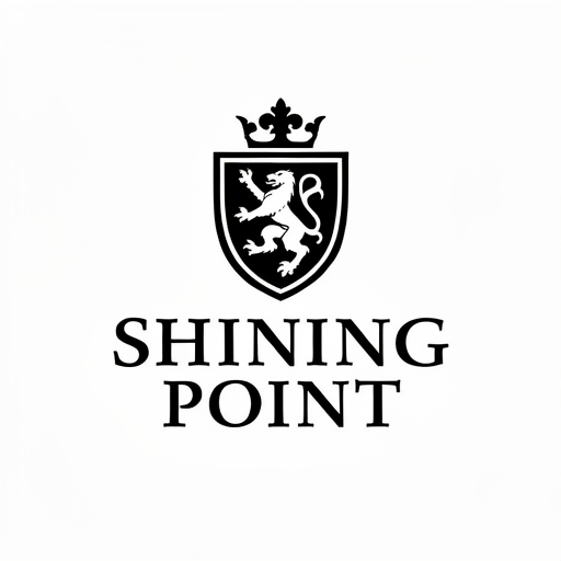 SHINING POINT INTERNATIONAL logo