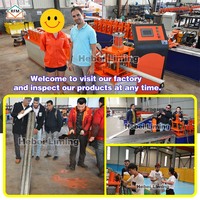 Máquina Punzonadora de Bordes para Puertas Enrollables Metálicas Hebei Liming, Máquina para Fabricar Puertas Enrollables Metálicas para Garajes
