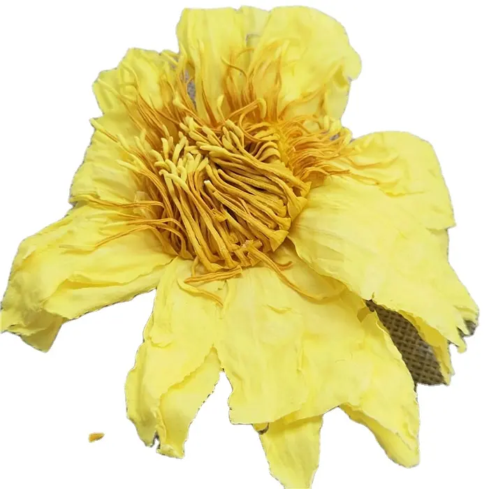 हुआंग लियान हुआ उच्च गुणवत्ता सूखे पीला कमल के फूल चाय