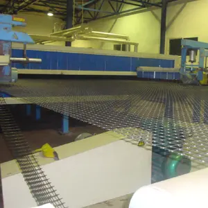 Ligne de Production de Geocell de poinçonnage d'extrudeuse en plastique PE, ligne d'extrusion de géogride en Pet