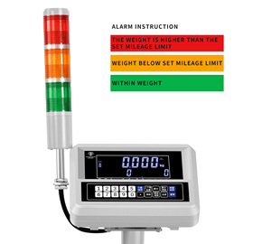 <strong>Bench</strong> <strong>Scale</strong> Industrial Waterproof Electronic <strong>Digital</strong> Steel <strong>Platform</strong> Floor Weighing <strong>Scale</strong> - Product Image 6