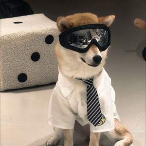 Occhiali protettivi UV occhiali antivento per animali domestici per foto adatte a tutte le razze occhiali comodi per cani - Product Image 2