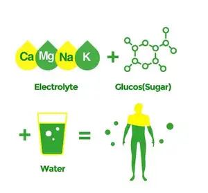 Contiene Bcaas MultiVitamins Vegan Electrolyte Drink Lemon Flavor Hidratación Electrolyte Powder