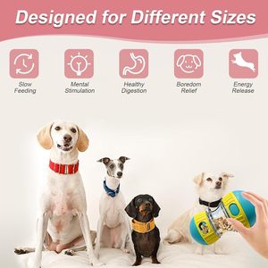 Distributeur de nourriture pour chien de luxe moderne, balles de puzzle, jouet intelligent pour animaux de compagnie, nouveautés pour améliorer la digestion, distributeur de friandises pour chats et chiens - Product Image 2