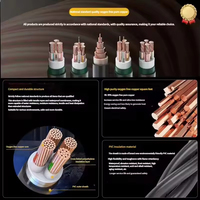 Cable de Alimentación Industrial de Bajo Voltaje con Aislamiento de PVC, Estándar Nacional Premium, YJV WDZ YJY, Núcleo de Cobre, 4 Núcleos, 50-185 mm²