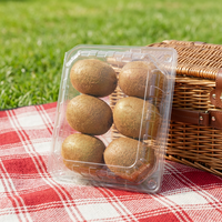 Boîte à cerises en plastique PP transparent jetable, conteneur perforé, excellente visibilité pour sushis et chips – Épaisseur et logo personnalisables