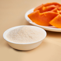 Poudre d'extrait de fruit de graine de papaye d'extrait de papaye naturelle de qualité alimentaire avec papaïne