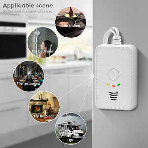 Sumring Chất lượng cao sử dụng nhà thời gian dài thời gian Dịch vụ tốt nhất và giá thấp <span class=keywords><strong>co</strong></span> và <span class=keywords><strong>gas</strong></span> kết hợp <span class=keywords><strong>Detector</strong></span> đứng một mình <span class=keywords><strong>Gas</strong></span> <span class=keywords><strong>Detector</strong></span> - Product Image 4