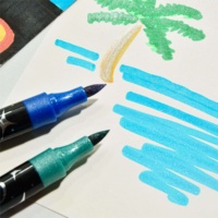 Ensemble de stylos marqueurs à double pointe pour dessin, 12/18/24/36/48 couleurs, marqueurs à pointe fine pour croquis artistiques, séchage rapide, marqueurs à paillettes pour dessin