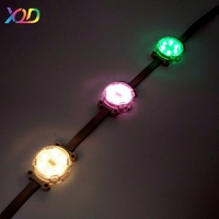 Projecteur LED à points lumineux XQD personnalisé en usine 24V DMX512 WS2811 RGB RGBW étanche pour extérieur, éclairage éblouissant pour parcs à thème PC