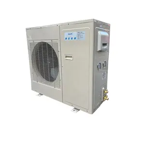 KUB300 Copeland compressor Intelligent thermal fluorine electronic expansion valve Heating and cooling unit 3HP condensing unit