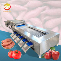 ORME Kersen-tomaat citrusvruchten sorteermachine bosbes sorteermachine mango appel sorteermachine was- en sorteermachine