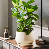 Pot Tanaman Berlapis Kaca 30cm dengan Lubang Drainase dan Alas, Pot Tanaman Indoor Tahan Lama, Dekorasi Rumah Modern, Vas Keramik Kustom Warna Beige Biru