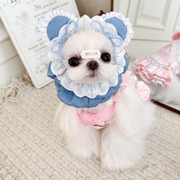 Animal de compagnie chat chien Anti-sale dentelle garniture couvre-chef mignon Bichon frisé couvre-chef Photo drôle
