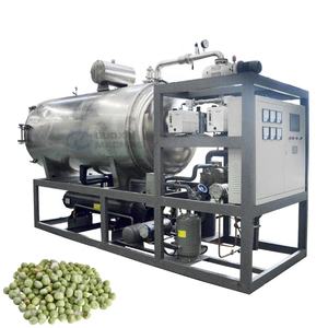 Équipement professionnel de lyophilisation à grande échelle pour l'éprouvement sous vide des pois, haricots verts et maïs, destiné à la transformation des légumes - Product Image 1