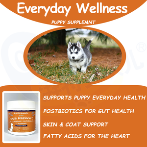 Pet probiotici polvere integratore proteico per cani supporto <span class=keywords><strong>cucciolo</strong></span> digestione dell'intestino cardiovascolare cappotto per la pelle salute Omega 3 per cani - Product Image 2