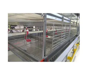 Shandong UBEST Broiler Chicken Steel Cages for Poultry Farm