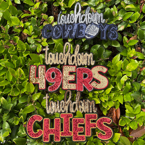 <span class=keywords><strong>Andiamo</strong></span> 49ERS decorazione ricamo personalizzato toppe ferro-On NFL paillettes toppe per l'abbigliamento - Product Image 5