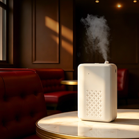 Diffuseur d'huiles essentielles
