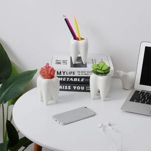 Ceramica vaso da fiori Dente Succulente Pentole 3-Pack, Carino <span class=keywords><strong>Bianco</strong></span> In Ceramica Fioriera Cactus Pianta in Vaso, penna creativa Della Matita Titolare - Product Image 4