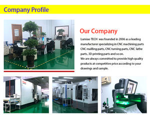 Servizi di Lavorazione CNC Personalizzati Lumiao per Componenti di Caricamento Armi da Fuoco, Parti in Alluminio e Acciaio Inox con Tolleranza Stretta - Product Image 5