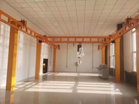 Moteur de palan électrique à chaîne autonome pour grue, avec boîte de vitesses, conçu pour les petites et moyennes stations de travail, facile à utiliser, haute efficacité