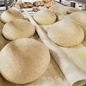 완벽한 피자 반죽 기쁨을 위해 인스턴트 건조 효모가있는 요리 마법을 발휘하십시오: 중국 공급 업체가 완벽한 발효 빵 효모