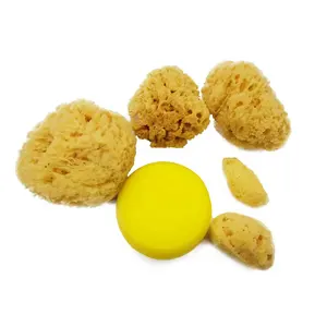 Natural Silk Sea Sponges
