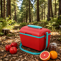 Glacière isotherme portable OEM ODM personnalisée 6L style classique, étanche en PE, pour pique-nique en extérieur