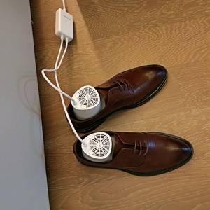 Secador y Desodorizador de Zapatos con Temporizador, Enchufe AU, UK, US, EU, Secador y Calentador Portátil para Zapatos, Botas y Calcetines - Product Image 4