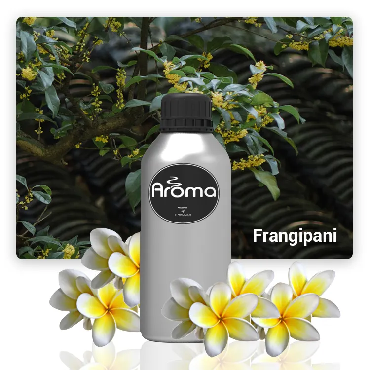 AR0113 Hotel Scents Frangipani, Floral Citrus Type Long Lasting and Strong