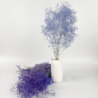 Fleur Éternelle Xiucao Millions Stars Gypsophile – Bouquet d'Art Floral Séché et Préservé Écologique pour la Saint-Valentin