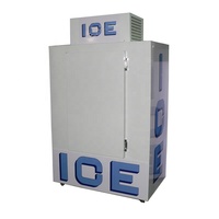 Petit sac de marchandisage de glace à porte solide unique pour l'extérieur Bac de stockage de glace 200l Glacière