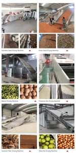 Noce industriale pinoli e semi <span class=keywords><strong>di</strong></span> girasole essiccatore a rete <span class=keywords><strong>di</strong></span> essiccazione per frutta ortaggi <span class=keywords><strong>Areca</strong></span> <span class=keywords><strong>noci</strong></span> - Product Image 2