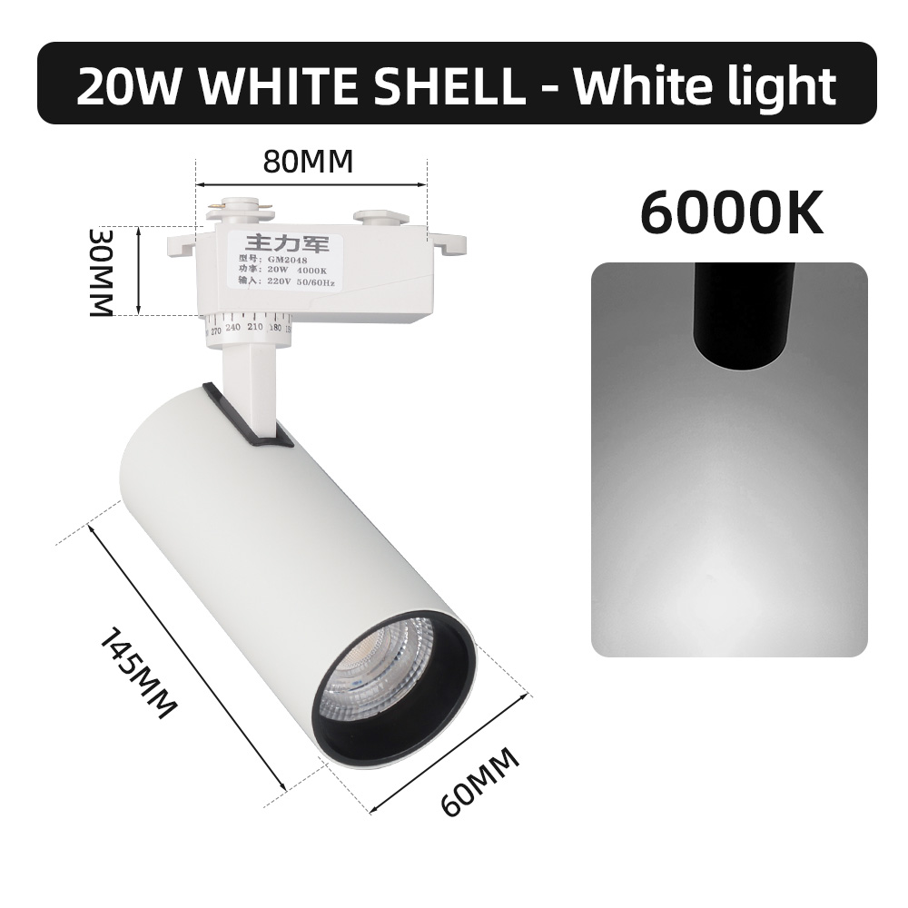 20W -Blanc-6000K