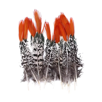 Décor Lady Amherst Plume Plumes de Faisan Flèche Rouge pour Costumes de Carnaval Chapeaux de Danse Samba Accessoire de Performance de Festival