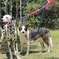 Laisse pour chien classique de 1,2 m en corde de polyester souple pour chiens à forte traction, design simple et moderne PETBOS