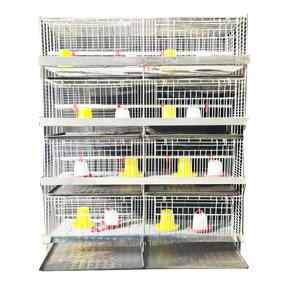 Jaula para Pollos de Engorde Galvanizada en Frío de Cuatro Niveles en Forma de <span class=keywords><strong>H</strong></span> de Alta Calidad para Uso en Granjas y Hogares - Product Image 3